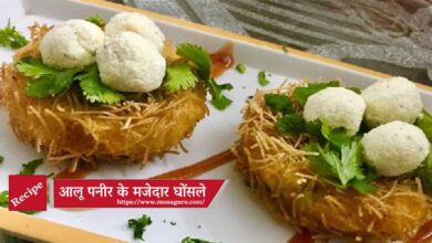 aloo paneer bird nest